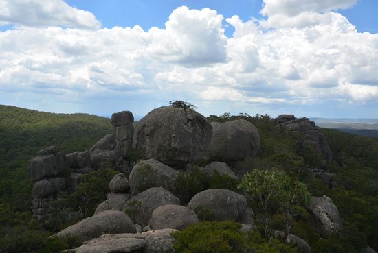 Cathedral Rock NP