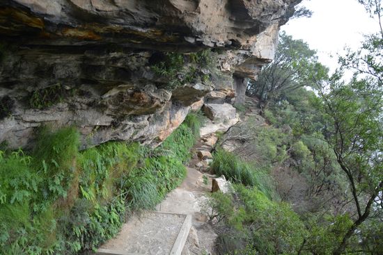 Auf dem Weg zu den Wentworth Falls