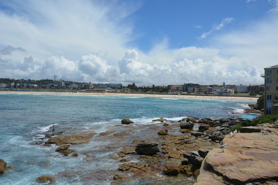 Blick auf Bondi Beach vom North Bondi Rocks Lookout