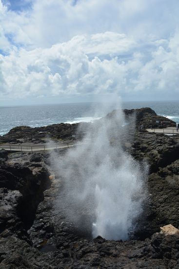 Das Goße Blowhole in Kiama