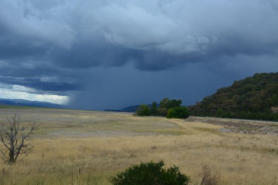 Regen am Rand des Lake George. (links ist der "See" , für die jenigen, denen es nicht gleich aufgefallen ist  )