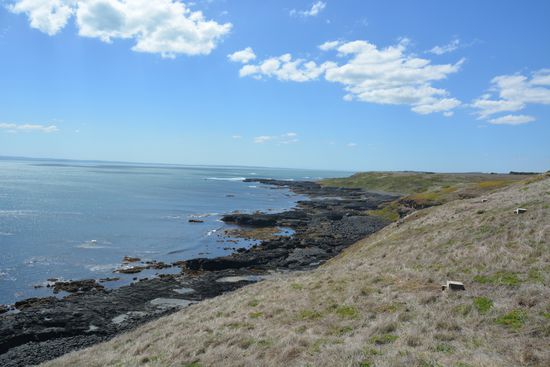 hinter dem Nobbies Center führt ein Weg durch eine kliene Pinguin Kolonie