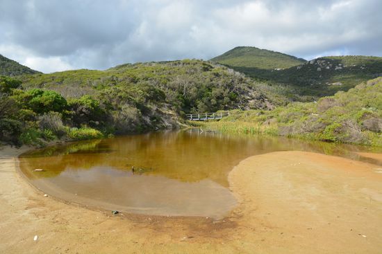 der Name Whisky Beach kommt von der Farbe dieses Wassers