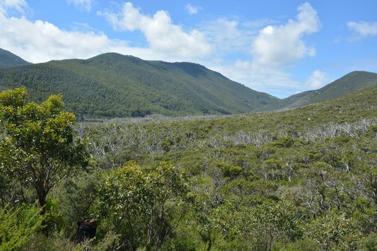 Der Weg zum Mount Oberon