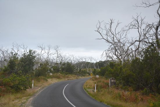 Die Straße nach Cape Otway