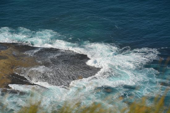 Ebenfalls Moonlight Head