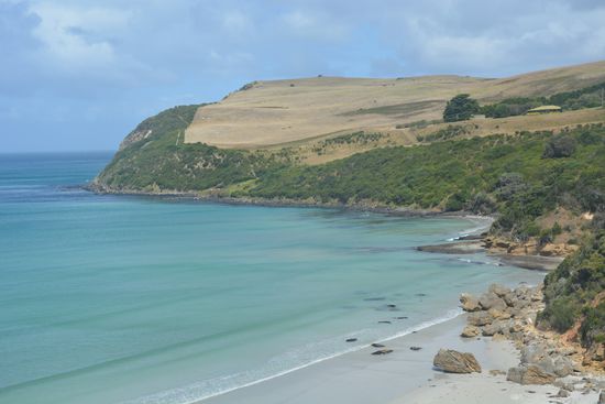 Cape Bridgewater