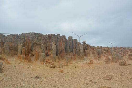 Der Petrified Forest und dahinter direkt die Windräder