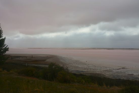 Ein pinker Salzsee