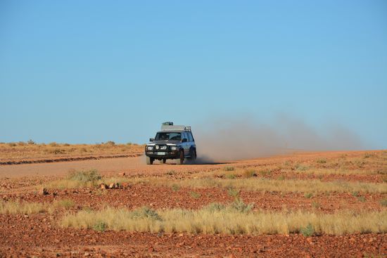 Kleines Fotoshooting mit Fritz 