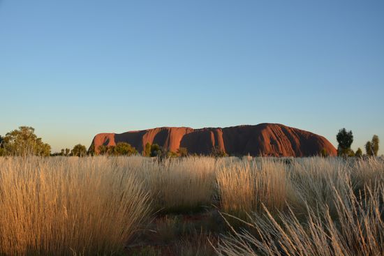 Spinifex Gras soweit das Auge reicht 