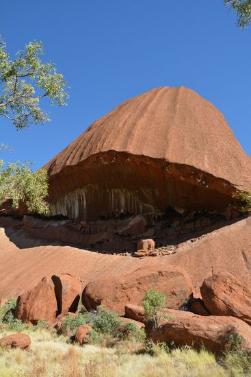 Sieht ein bisschen aus wie das Maul eines Wales oder nicht?