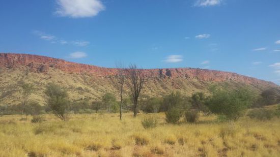 Auf unserem Weg zum Campingplatz in den West Macdonnell Ranges gab es auch schon einiges zu sehen.