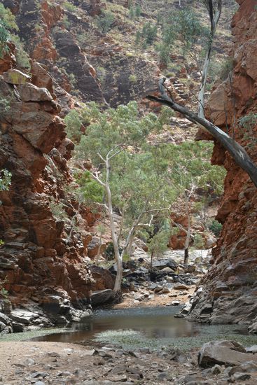 Am Fuße des Serpentine Gorge