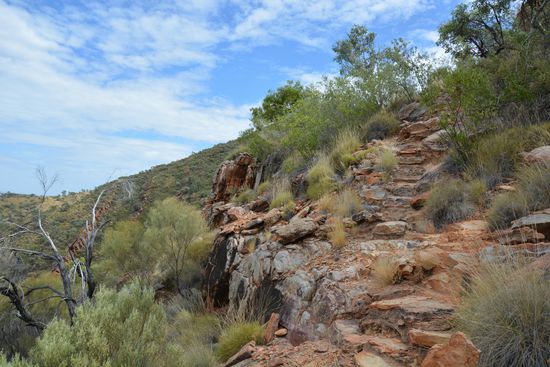 Der Pfad zum Lookout