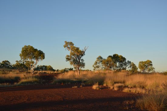 So schön kann eine Rest Area sein 