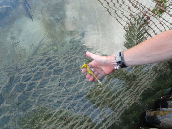Hier habe ich mir zum ersten Mal sehnlichst  eine Unterwasserkamera gewünscht ...