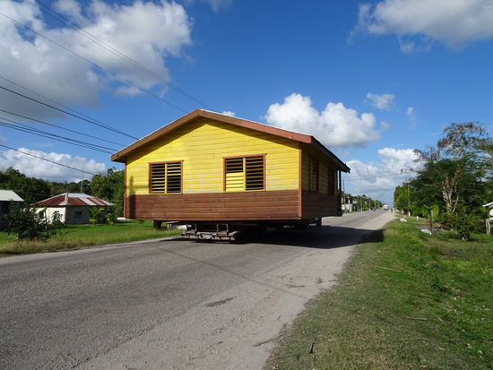 Wenn jemand ein Haus geliefert bekommt, müssen alle anderen eben einmal ein paar Kilometer hinterherfahren. Die Zimmerleute sind übrigens deutsche Mennoniten, die als Handwerker hier einen sehr guten Ruf haben.