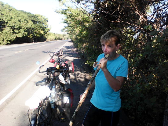 Wegzehrung im wahrsten Sinne des Wortes, die Laster verlieren überall  Zuckerrohr,  lecker.