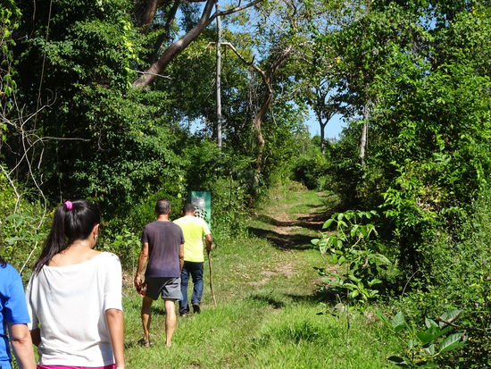 Kein Wanderwetter...