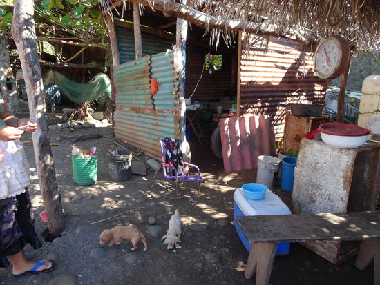 Da wohnt eine Familie