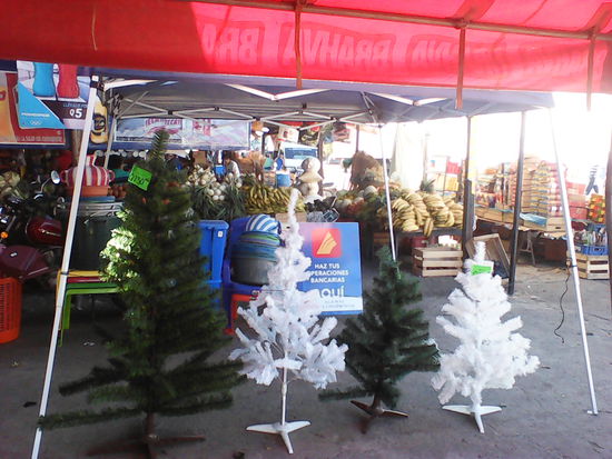 Falls jemand noch keinen Weihnachtsbaum hat...