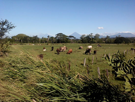 Im Hintergrund grüßen uns die Vulkane Fuego y Agua (Feuer und Wasser) Der Vulkan Agua ist nicht mehr aktiv, dafür aber der Vulkan Fuego, der bei gutem Wetter rote Lava erkennen lässt.