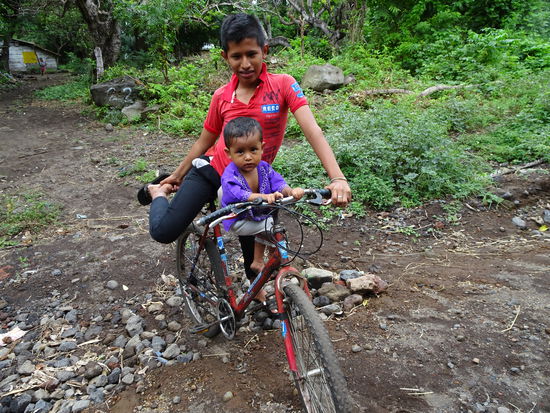 Schon die Kleinen sitzen sicher auf der Querstange und halten sich gut fest.