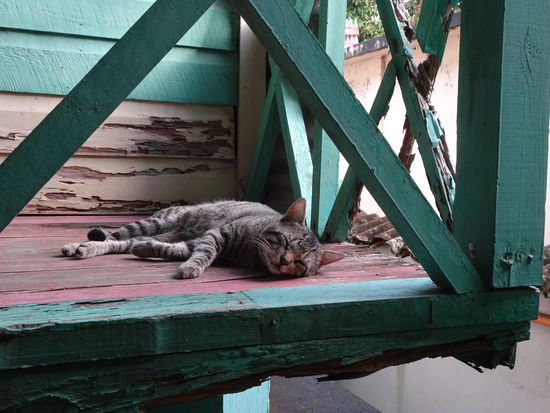 Bröckelnder Charme  im Hotel