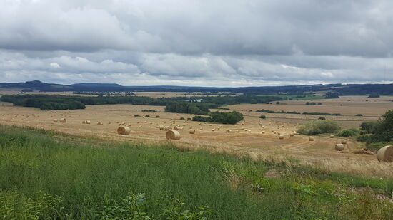 Der Weg ist ein ständiges auf und ab und am Ende des Tages werden über 1000Hm auf dem Tacho stehen.