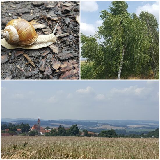 Es geht viel auf und ab, der Wind hat Ausdauer für den ganzen Tag und ich bin langsam wie eine Schnecke.