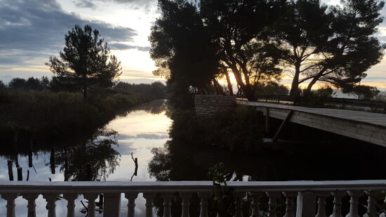 ...am Morgen diesen Ausblick genießen.