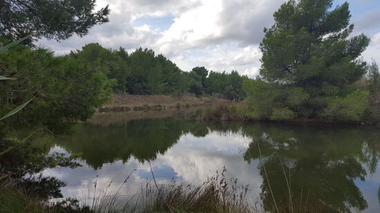 Es ist die größte Küsten-Lagune Albaniens. Die durchschnittliche Tiefe beträgt nur 70 cm.