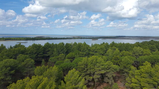 Blick vom Turm des Besucherzentrums.