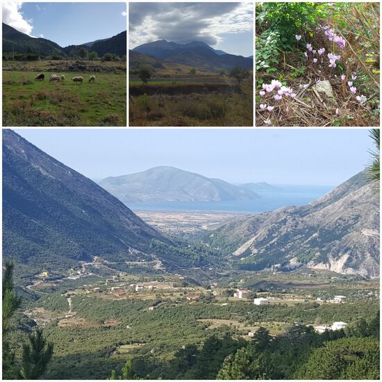 Blick zurück, ein paar meiner heutigen insgesamt 1300 Höhenmeter habe ich schon geschafft.