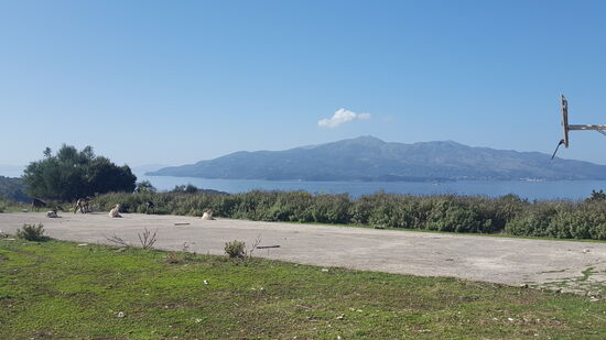 Klostereigenes Basketballfeld. Einige Spieler verlassen den Platz als ich auftauche.