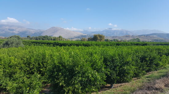 dann mitten durch den Obstanbau