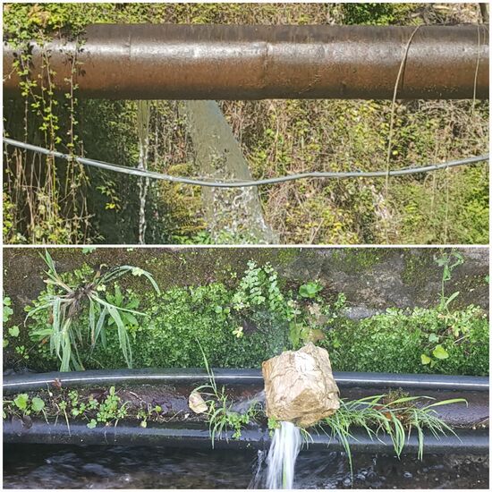 Die Quelle ist ein wichtiger Zufluss des Flusses Bistrica, an dem es drei Wasserkraftwerke gibt und der die örtliche Wasserversorgung garantiert. Dabei können kleinere und größere Leitungsverluste schon mal vorkommen.  Auf dem unteren Bild wurde es ja auch schon repariert.