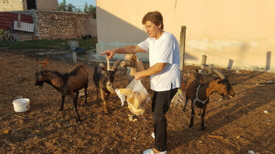 Von der Milch der Ziegen bereitet sie einen extrem leckeren Käse zu.