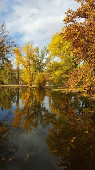 Ich hole das Fahrrad vom Balkon und drehe am Nachmittag wenigstens eine 20km Runde durch die Stadt.