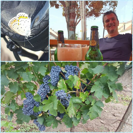 Tschüss Tschechien, bis bald mal wieder.