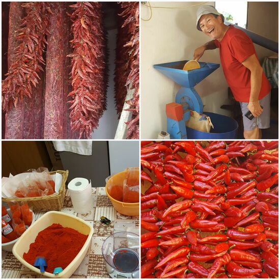 Natürlich erfahren wir auch einiges über Anzucht, die Trocknung (3 Wochen lang aller 2 Stunden Tag und Nacht im Ofen Holz nachlegen!!!), das Mahlen und die Vermarktung. Trotzdem wir heute nur wenige Kilometer vorwärts kommen ein sehr interessanter Tag!