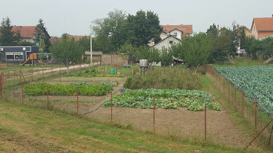 Fast jeder hat hinterm Haus einen Gemüsegarten, manchmal Hühner oder ein Schwein.