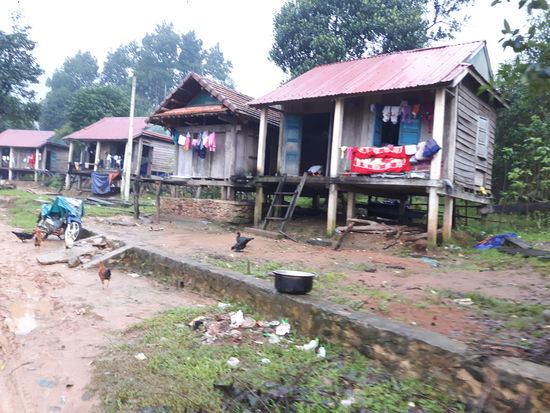 Überall laufen Hühner und Büffel durch das Dorf.