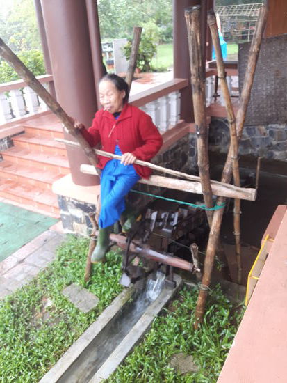 Süße alte Reis-Dame