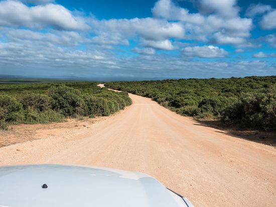 Im Addo Elephant Park