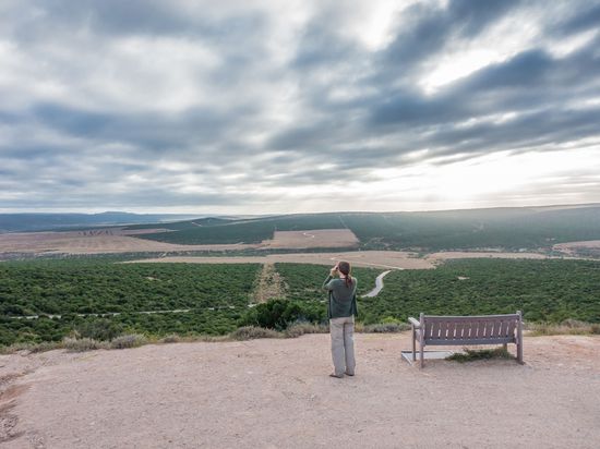 Einer der eingezäunten Picknick-Plätze im Addo Park