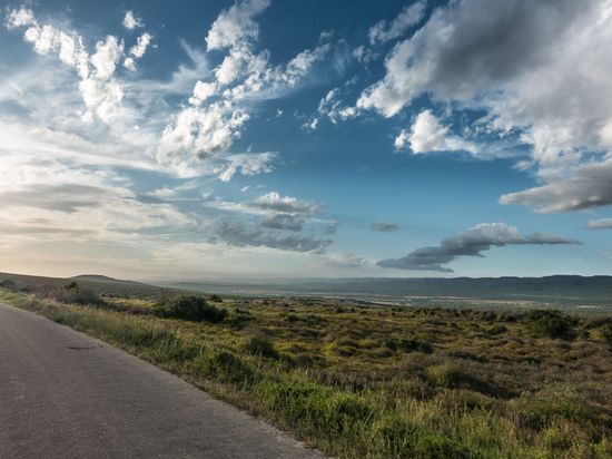 Irgendwo im Addo Park