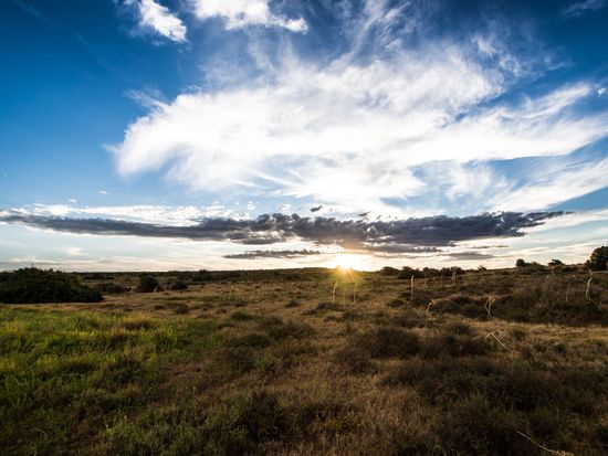 Sonnenuntergang im Addo Park
