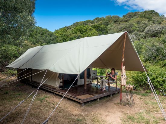 Unser Zelt im Quatermain's